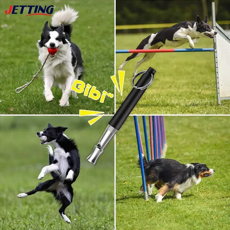 Pet Dog Whistle Puppy Training Obedience Ultrasonic Supersonic Sound Repeller Pitch Stop Barking Quiet Whistles for Dogs & Cats