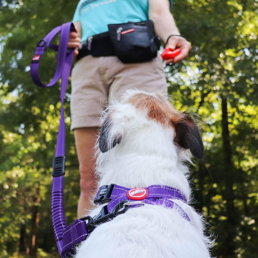 Command Dog Clicker | Dog Training, Training Clicker for Dogs, Dog Training Clickers, Puppy Training, Hands-Free, Positive Reinforcement, Wrist Strap, Dog Whistle (Black)
