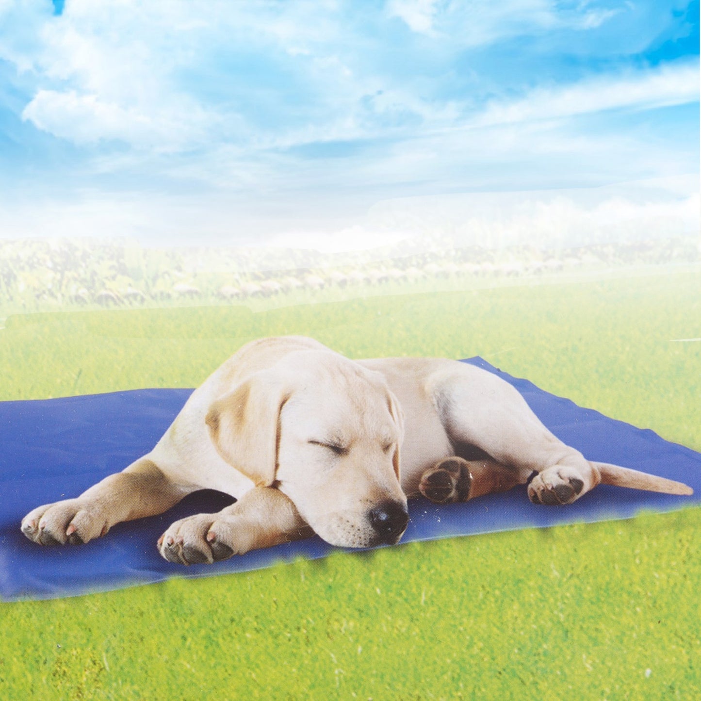 Pet Self Cooling Gel Mat Summer Heat Dog Cat Relaxing 50 X 40Cm Portable Bed